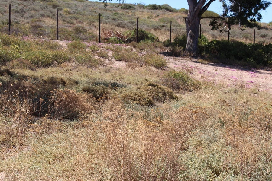 0 Bedroom Property for Sale in St Helena Views Western Cape